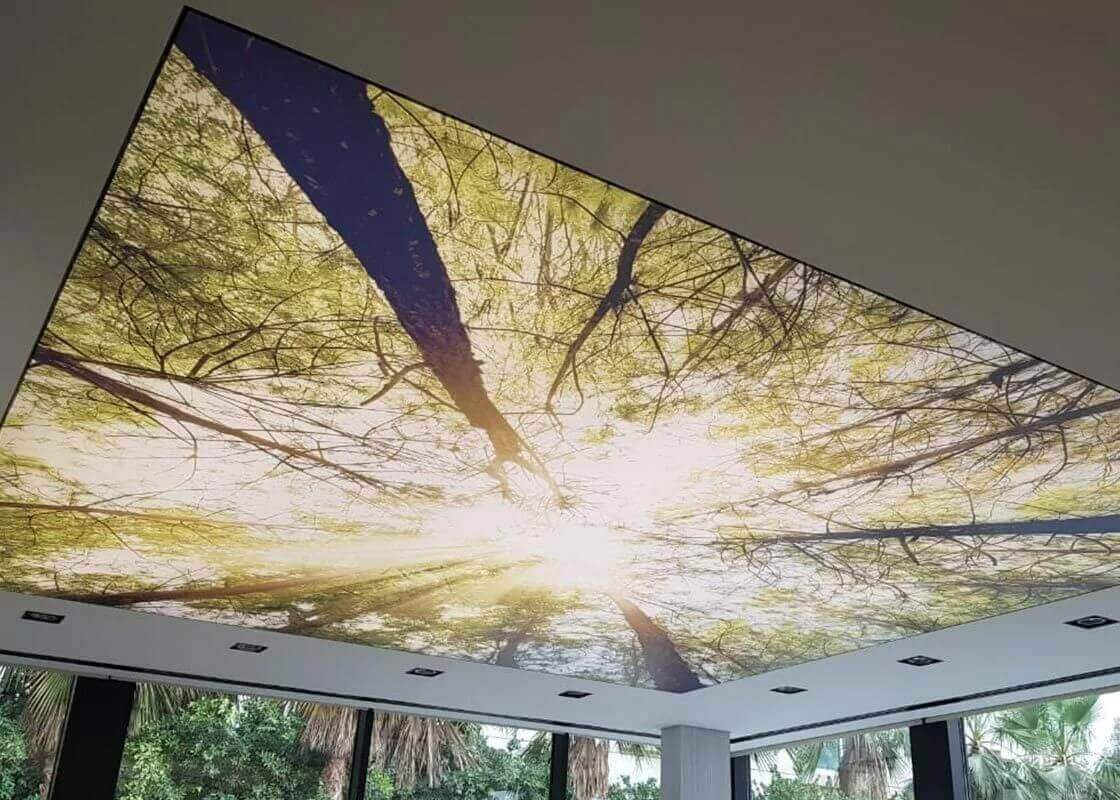 Printed ceiling design