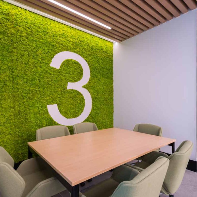 Biophilic Design