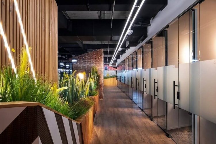 Rustic and contemporary office space with greenery