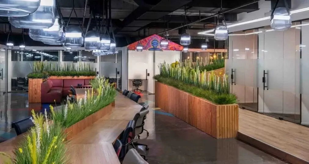 Office with plants in the desks & hanging lights.