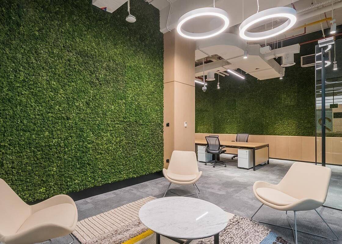 Office space with ring pendants and green textured walls