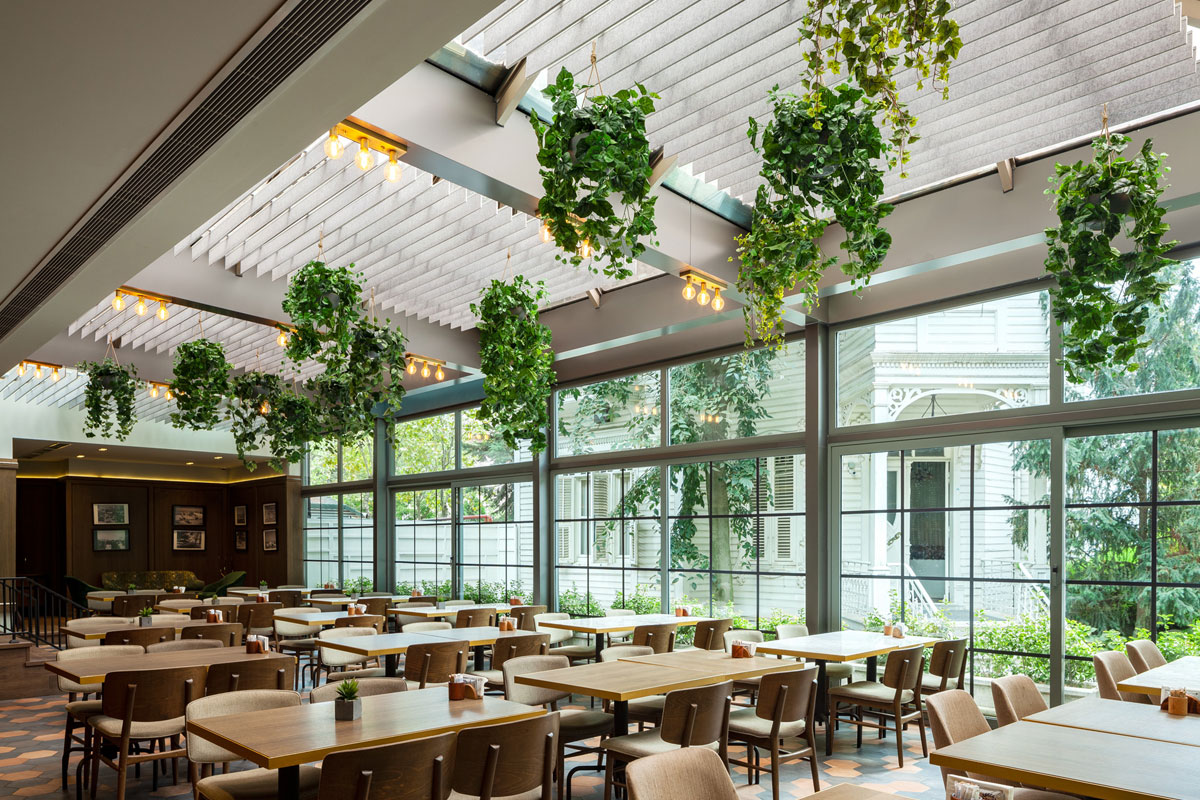 Bright airy building with plants hanging from ceiling